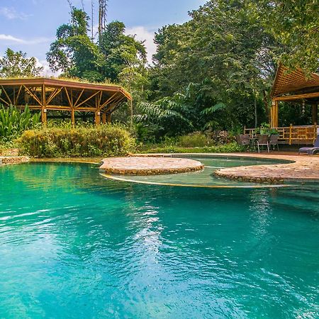 Banana Bamboo Ecolodge Убатуба Экстерьер фото