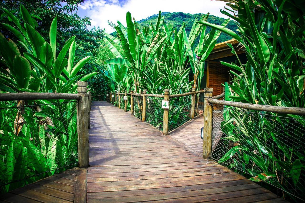 Banana Bamboo Ecolodge Убатуба Экстерьер фото